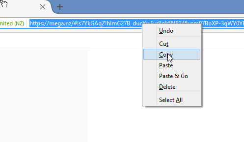 How to Download from mega.nz with IDM (Internet Download Manager)