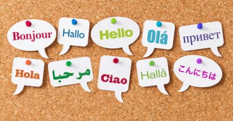 Hovatek multilingual