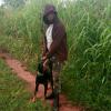 david kanebi